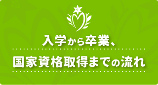 入学から卒業、国家資格取得までの流れ