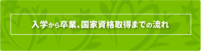 入学から卒業、国家資格取得までの流れ - nagare -